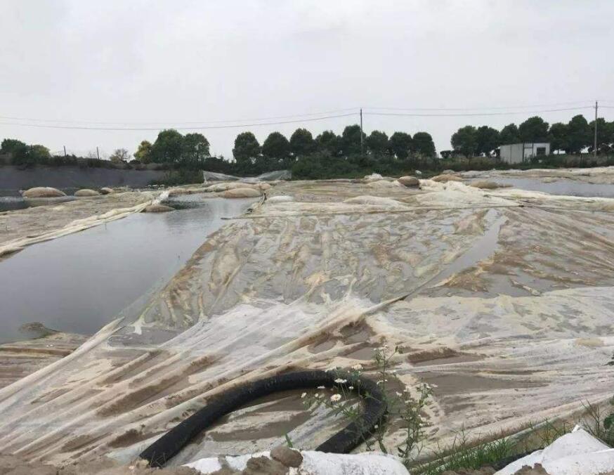 QQ截圖20200803151702.jpg QQ截圖20200803151702.jpg